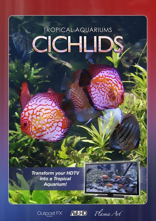 Plasma Art - Tropical Aquariums - Cichlids movie poster player