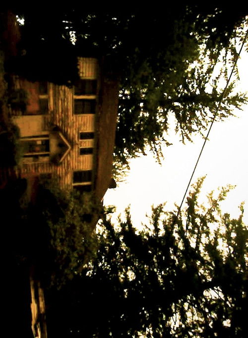 Cartell de evan's house