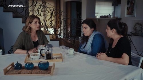 Épisode 8
