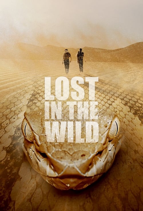 |EN| Lost in the Wild