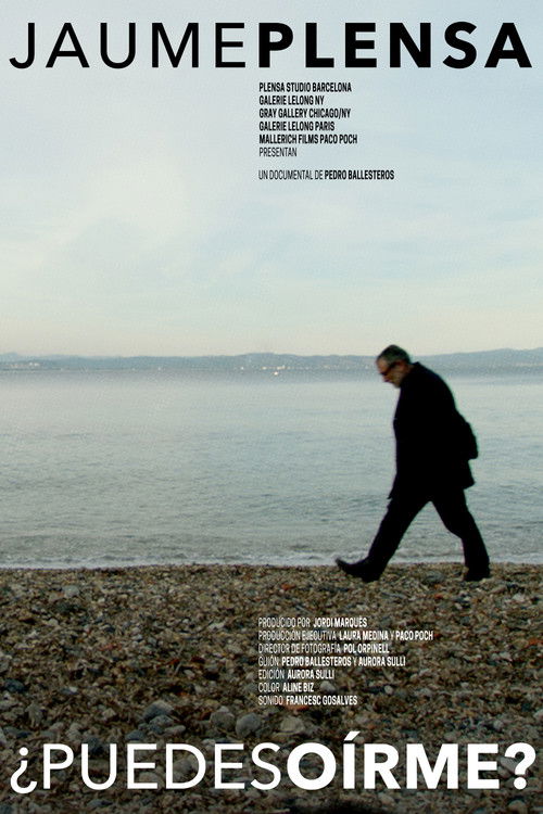 Jaume Plensa: Can You Hear Me? poster