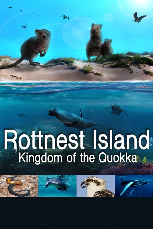 Poster Rottnest Island: Kingdom Of The Quokka