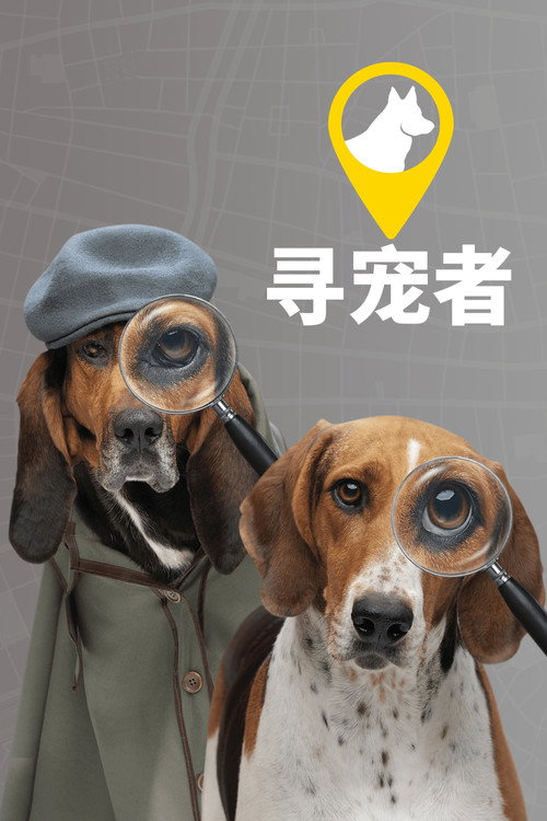 Radar Pet