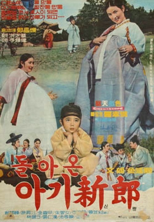 돌아온 아기신랑 movie poster player