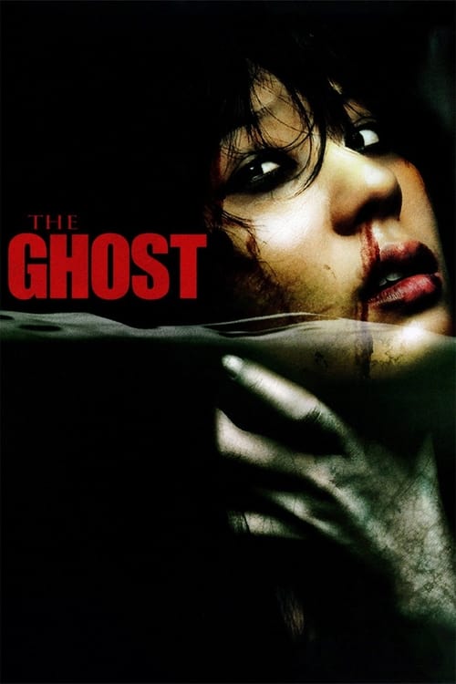 Grootschalige poster van The Ghost