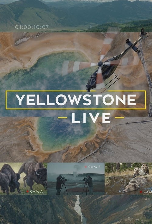 Poster Yellowstone Live