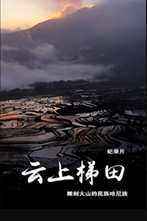 云上梯田 (2021) poster