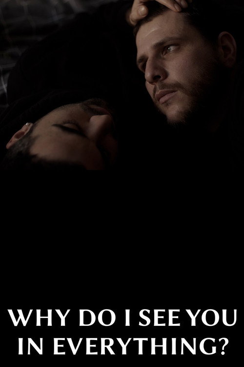 Why Do I See You in Everything? poster