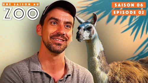 Le Zoo accueille un Nouveau Lama !