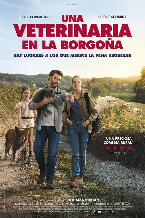 Descargar Una veterinaria en la Borgoña en torrent