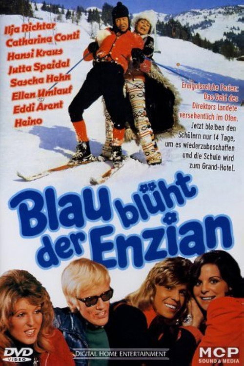 Blau blüht der Enzian