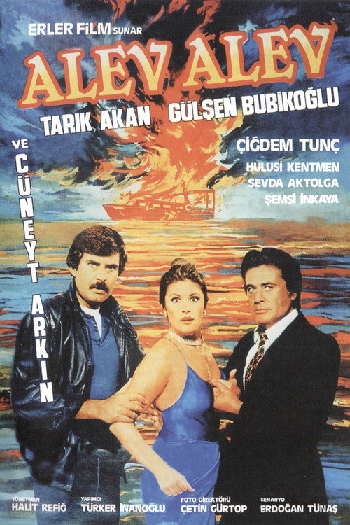 Affiche de Alev Alev