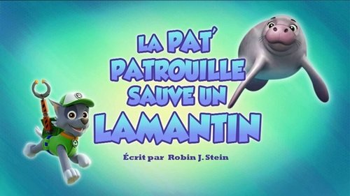 La Pat' Patrouille Sauve Un Lamantin