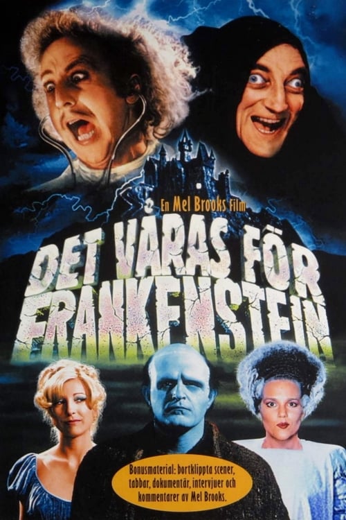 Young Frankenstein poster