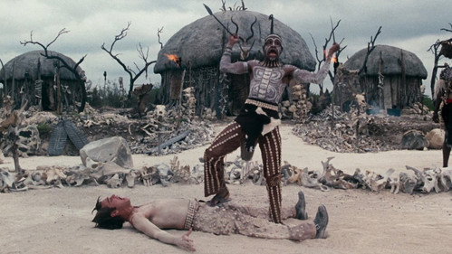 Ace Ventura: When Nature Calls