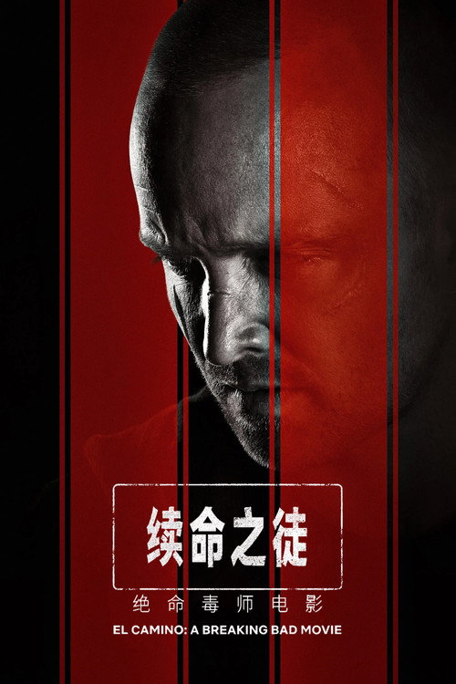 续命之徒：绝命毒师电影
