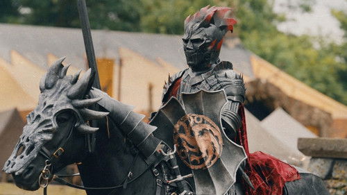 Poster della serie A Knight in the Making