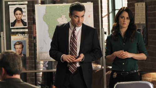 The Mentalist: 5×8