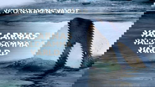 Image de l'épisode 26