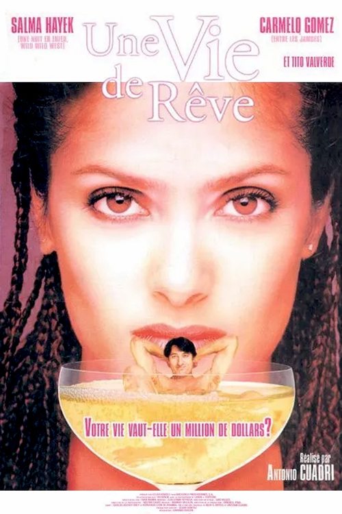 Poster image du film Une Vie de Rêve Une Vie de Rêve
