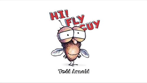 Hi Fly Guy