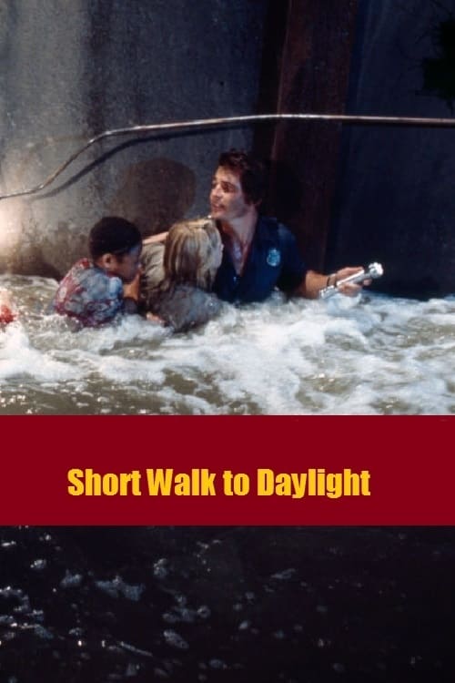 Poster Short Walk to Daylight 1972