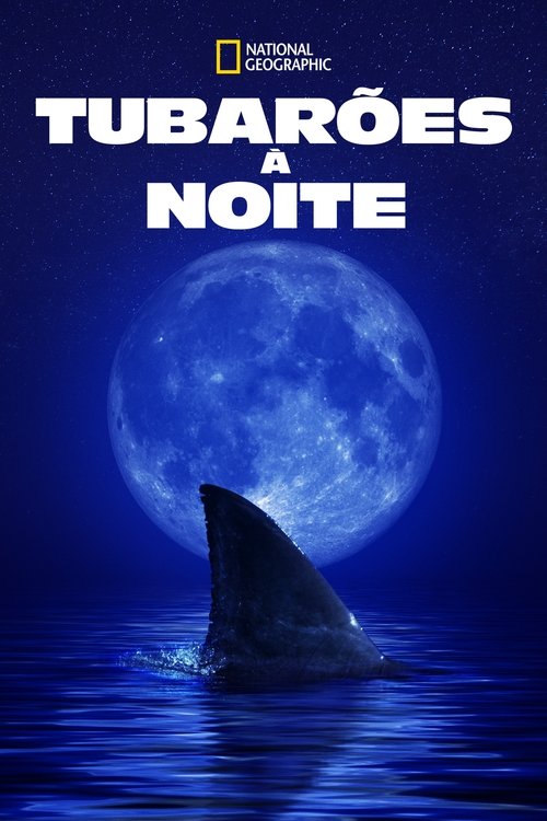 Tubarões à Noite