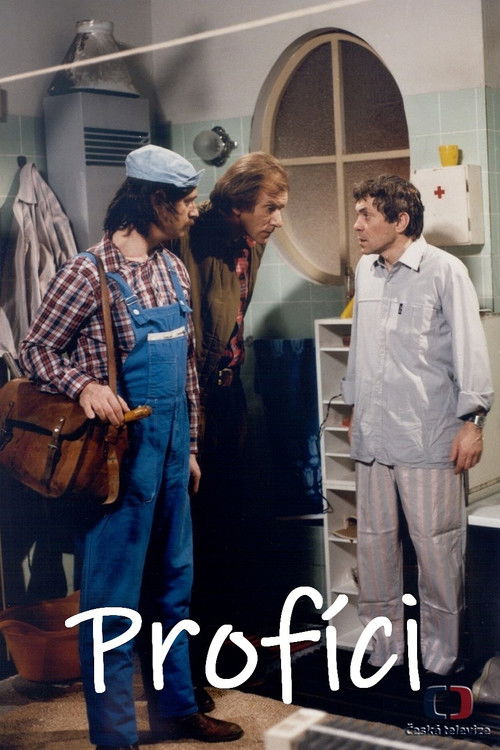 Profíci aneb Když nejsou lidi film afişi