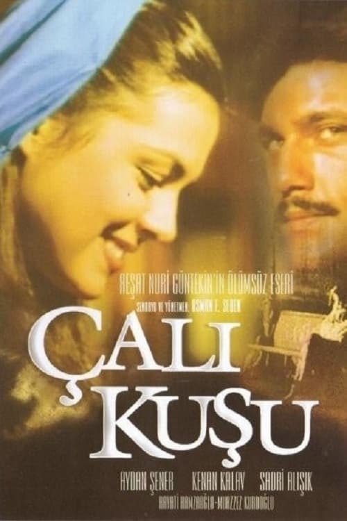 Poster Çalıkuşu