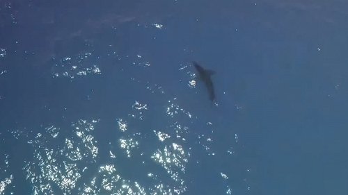 Image de l'épisode 5