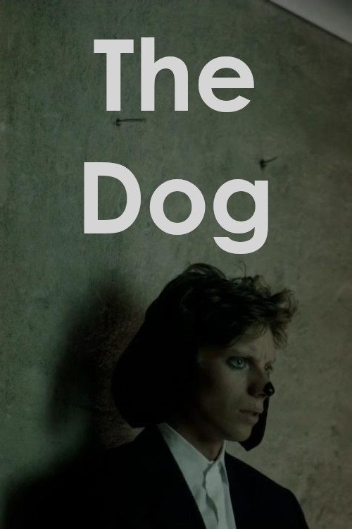 The Dog