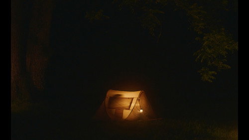 Everything In This World Is Exactly What It Is