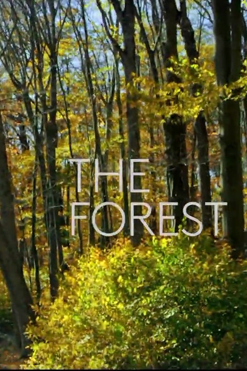 Poster for The Forest (2019)