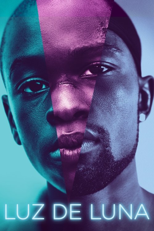 Moonlight poster