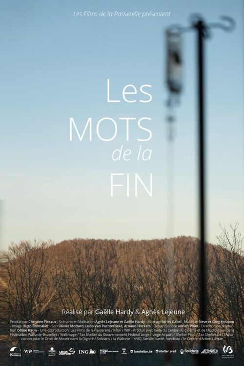 Poster Les mots de la fin 2021