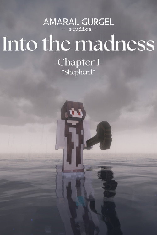 Into the madness poster