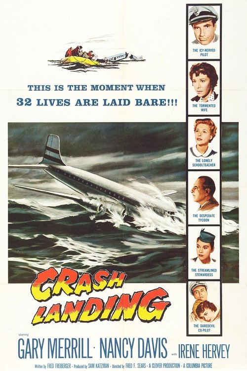 Grootschalige poster van Crash Landing