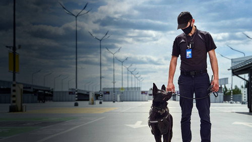 Airport Security: Nord Europa - Season 1 Backdrop Blur
