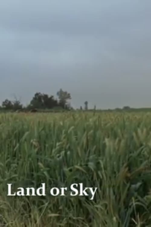 Land or Sky 2012