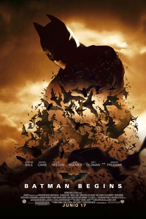 Schauen Batman Begins On-line Streaming