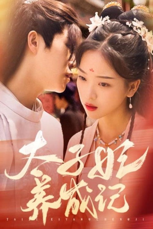 太子妃养成记 poster