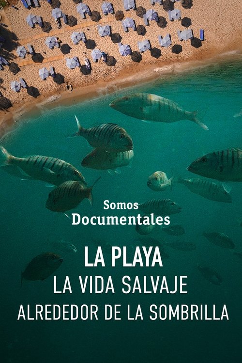 La playa, la vida salvaje alrededor de la sombrilla La playa, la vida salvaje alrededor de la sombrilla