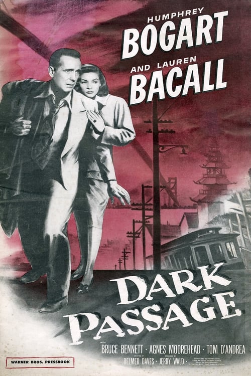 Largescale poster for Dark Passage