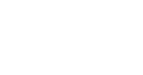 Anni: The Honeymoon Murder