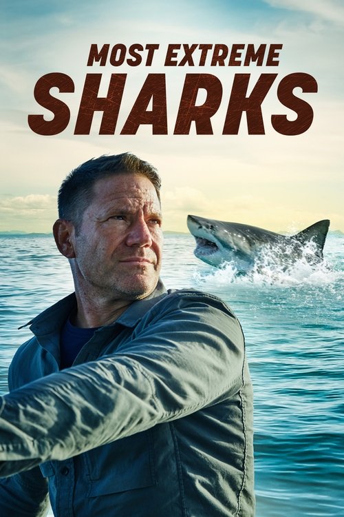 Poster Most Extreme Sharks