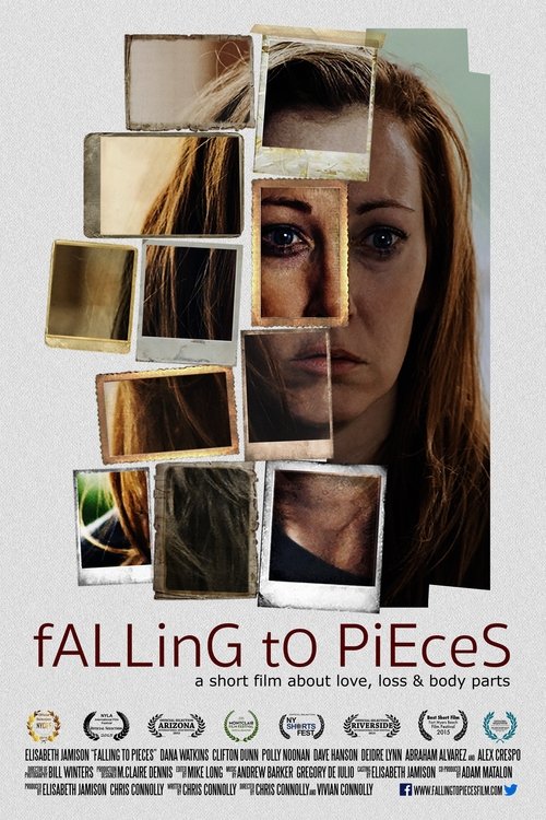 Falling To Pieces movie poster player