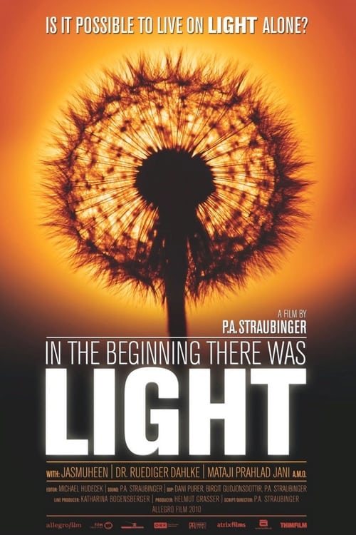 In the Beginning There Was Light 2010