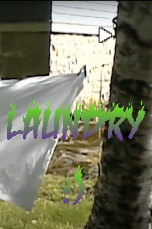 Poster for laundry (2023)