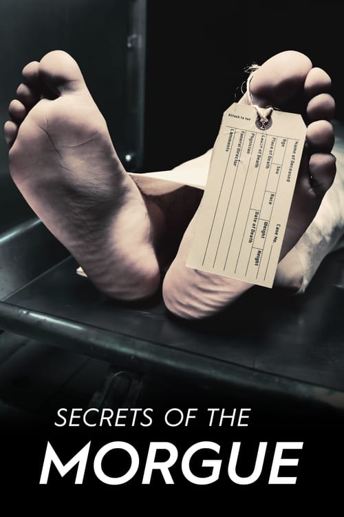 Poster Secrets of the Morgue