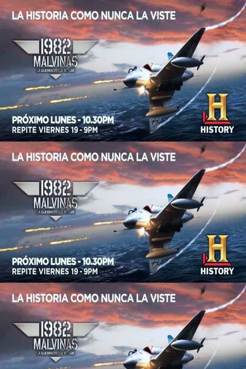 1982 Malvinas, La guerra desde el aire (2009)